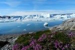 Greenland-00230sm.jpg