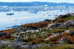 Greenland-00330sm.jpg
